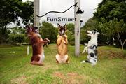 FunSmart